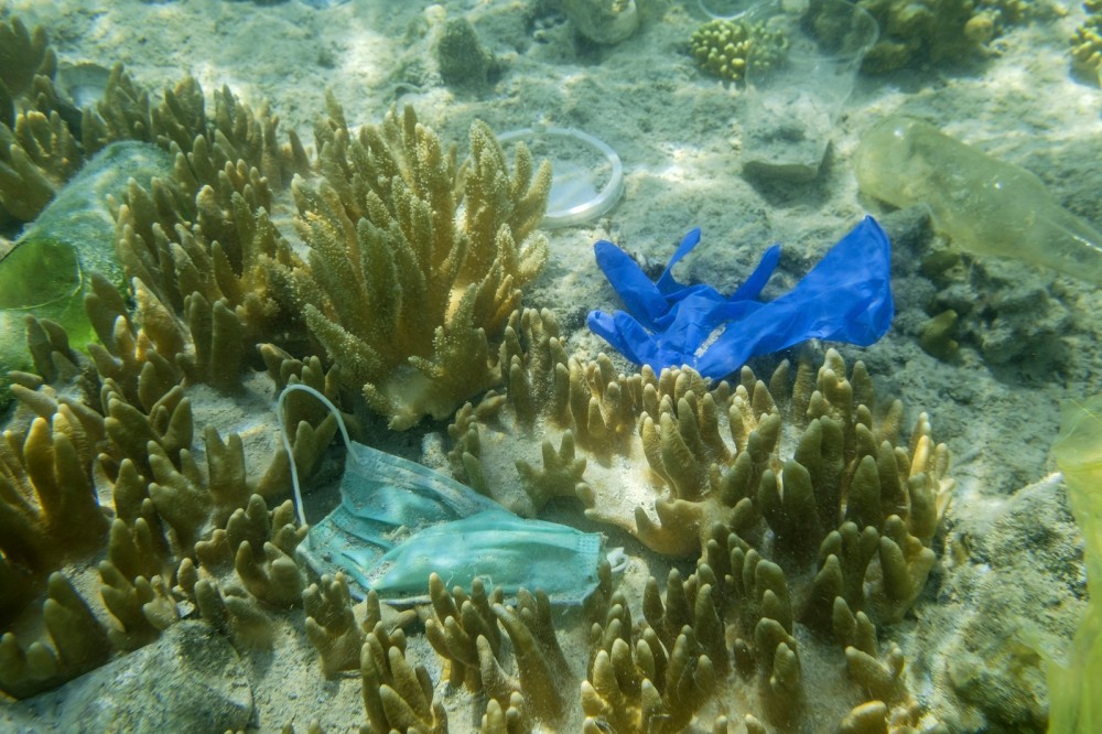 Face masks gloves and other discarded plastic in the Red Sea. 